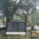 양평사 | 세종 영평사 템플스테이 후기 (25.06.06-7)