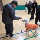 인상고등학교 이미지