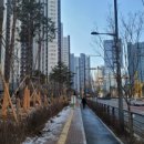 AA10-1(LH) 이미지