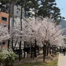 마포, 걷고싶은길 1코스 이미지