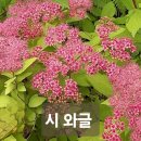 초록이 가을을 만나다 / 서미영 이미지