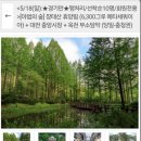 장태산휴양림 | 파랑새투어 장태산자연휴양림/부소담악 다녀온후기