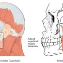 예움한의원 이미지