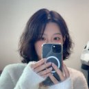 드포레스트 이미지