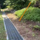 둔내캠프 | [국제청년센터] 2025 노다지마을 3차 농활 후기