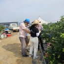 유리농장(비봉) 이미지