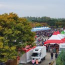 농수산물집하장 주변 | 마포새우젓축제 관람 후기