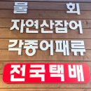 포항물회 이미지