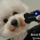 부띠끄진주 이미지