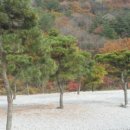 별따기캠핑장 이미지