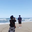 고기안목 이미지