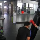 와룡복싱 이미지