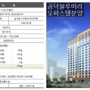 블루마리오피스텔 이미지