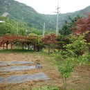 덕평육교