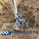 어룡초등학교 이미지