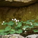 금강산장 이미지