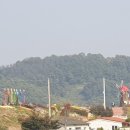 진가네농장 이미지