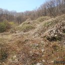 절골약수터 이미지