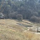 금강정 | 강원도 영월 왕사남 단종 유배지 청령포 방문 (웨이팅, 금액, 주차)