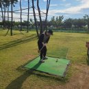 스윙(swing) 이미지