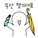 별빛소나타 이미지