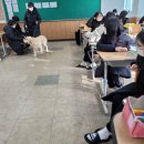 금강중학교 이미지