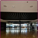 쏘마휘트니스 이미지