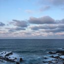 울진대게궁7호 이미지