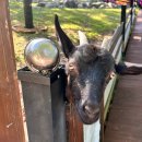 청성농장 이미지