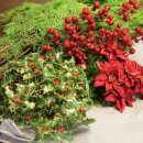 피어나는 생명 이미지