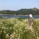 코끼리농수산 이미지