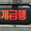 뚝닭