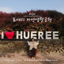 꽃 | 제주 서귀포 동백꽃 명소 휴애리 유채꽃 후기