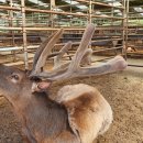 승미농장 이미지