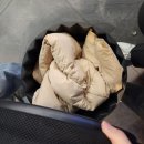 대전 대흥동 쫄깃쫄깃 오징어회 맛집[오징어어때] 내돈내산 후기