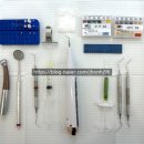 엔도코어 이미지