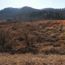 공인중개사사무소 부동산그림 이미지