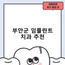 미플란트치과의원 | 부안군 임플란트 치과 비용 및 후기, 정부 지원금 70% 안내-후기 TOP5 비용 후기 잘하는곳