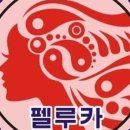 펠루카미용학원 이미지