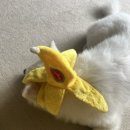 델멍트 이미지