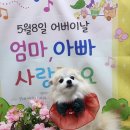 몽실이 이미지