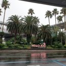 구억목장 | 🏝 2021 여름 🏄‍♀️ 제주도 뚜벅이 커플여행 코스 !! (제주~애월~협재~서귀포)