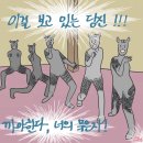 닥스 완다비전 안보고 봐도 될까 ? (노스포) 이미지