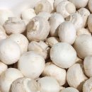 석성농장 이미지