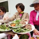 치악산산나물축제 뉴스1