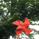 영남알프스 둘레길 17코스 -다시걷는길-(2012.06.24)