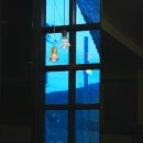 짬뽕드실분 이미지