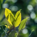 강서경희한의원 이미지