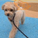 개러리아 송파점 이미지