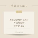 [광주 웨딩] 가성비 최고! 본식스냅 '바이정' 계약 후기 (메리미 제휴 혜택/견적)